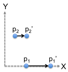 scale