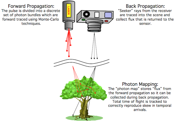 bidir propagation